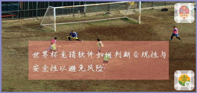 世界杯竞猜软件如何判断合规性与安全性以避免风险