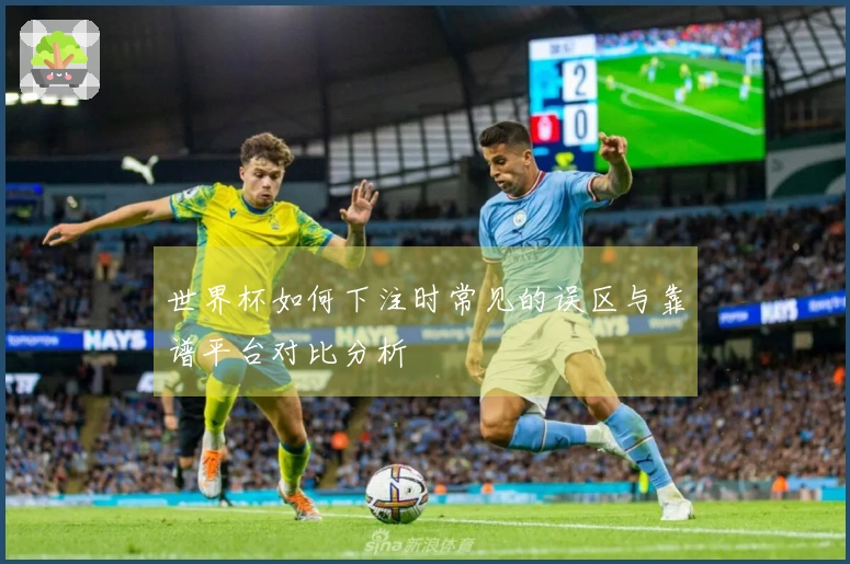 世界杯如何下注时常见的误区与靠谱平台对比分析
