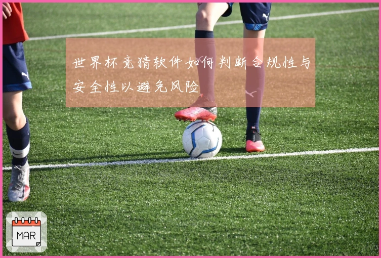 世界杯竞猜软件如何判断合规性与安全性以避免风险