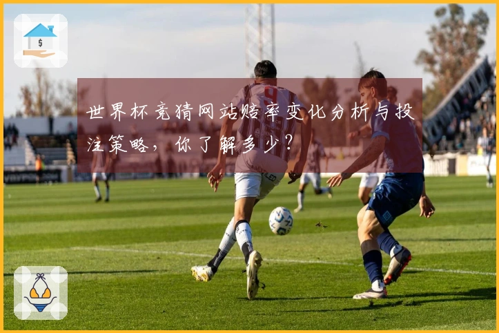 世界杯竞猜网站赔率变化分析与投注策略，你了解多少？
