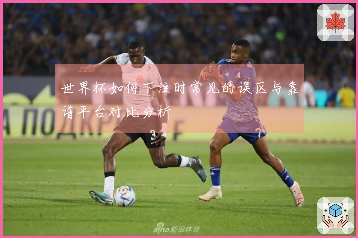 世界杯如何下注时常见的误区与靠谱平台对比分析